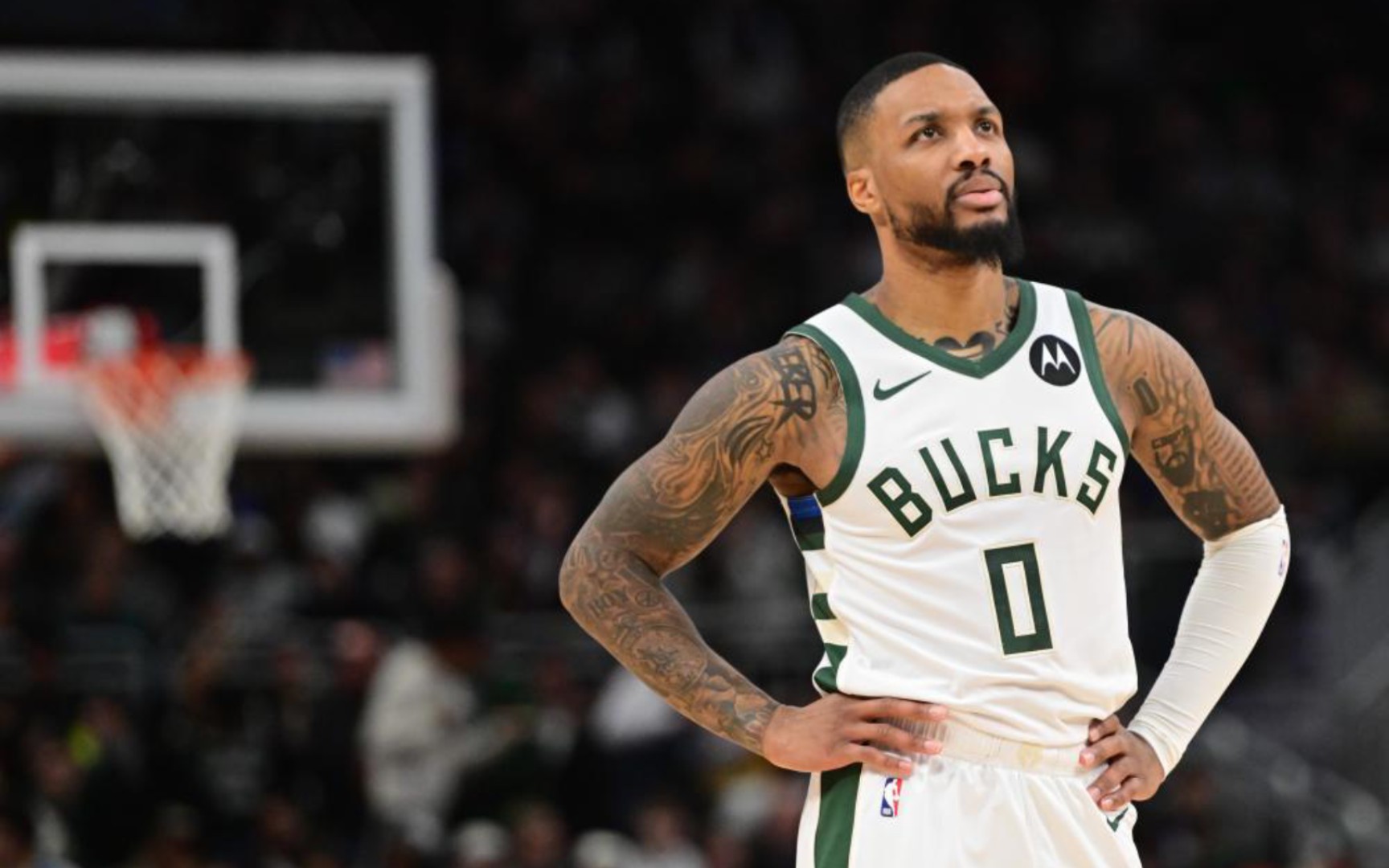 的快速上抢 的快速上抢