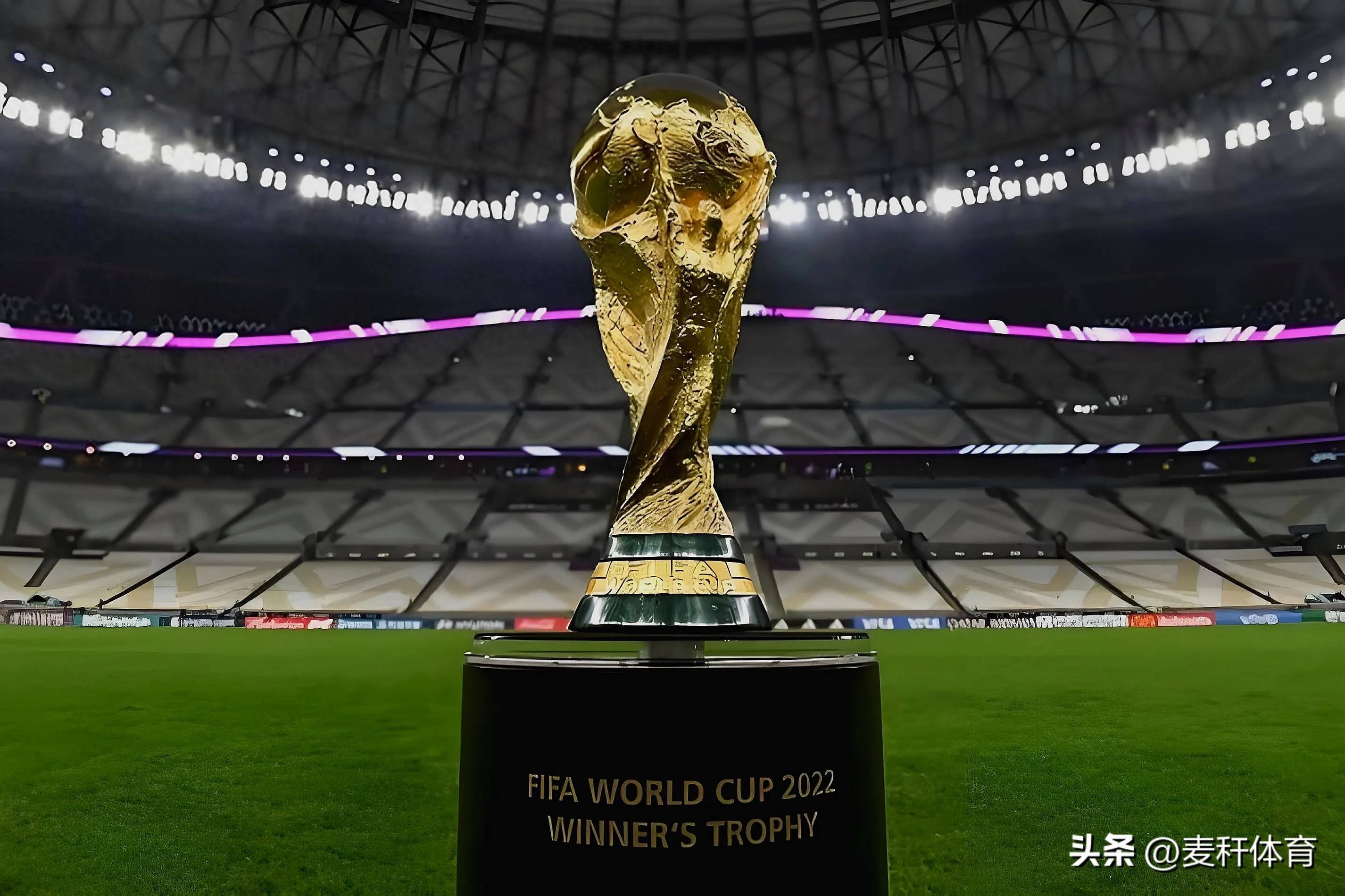 为新秀提供 为新秀提供